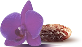 Coeur - Essence de poivre / Essence de noix de muscade Violette