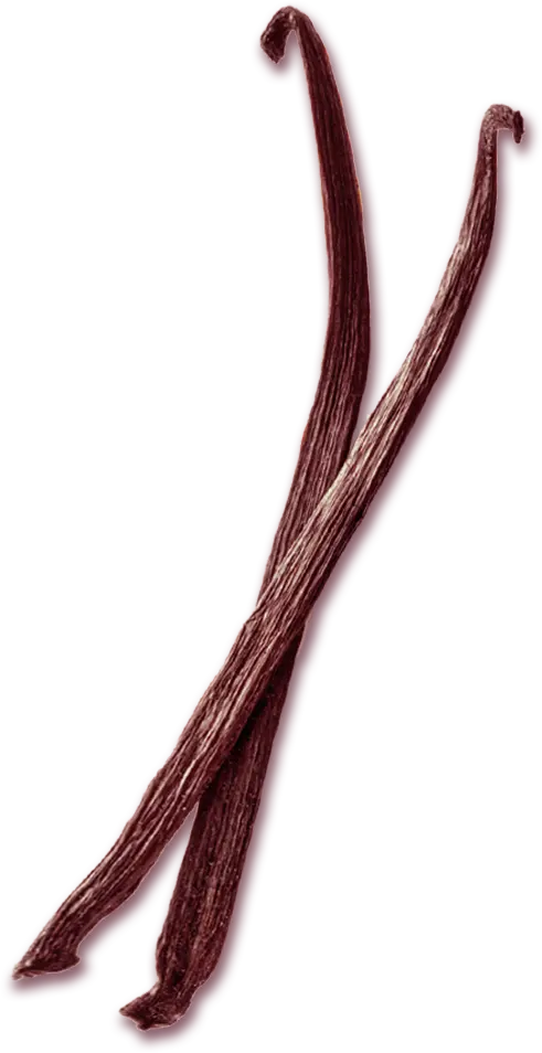 Fleurs Insenso pour background